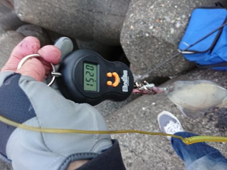 ようやく複数釣果